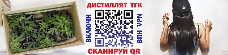 дарнет шоп  Красавино  Дистиллят ТГК жижа 